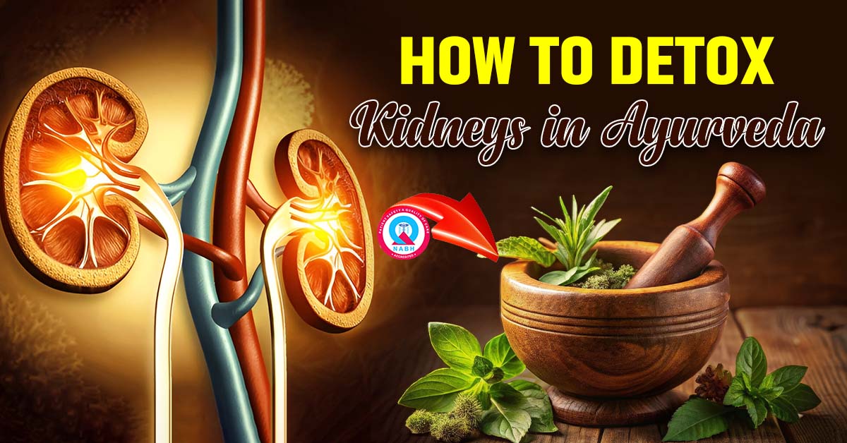 how-to-detox-kidneys-in-ayurveda